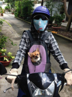 A person on a scooter with a dog in a basket&lt;/p&gt;&lt;p&gt;Description automatically generated with low confidence