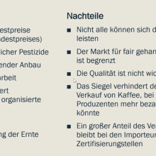 Screenshot (c)WUS_Vor- und Nachteile Fairer Handel